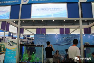 近500家水产产业链企业齐聚合肥渔博会，现场亮点纷呈，行业盛事引领产业新方向