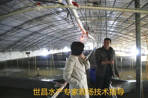 以先进典型引领高效渔业发展——世昌股份大力培育特种水产养殖示范户的实践与探索