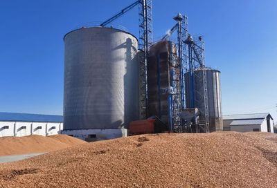 福海县 科学配制“营养大餐”，助力畜牧业提质增效